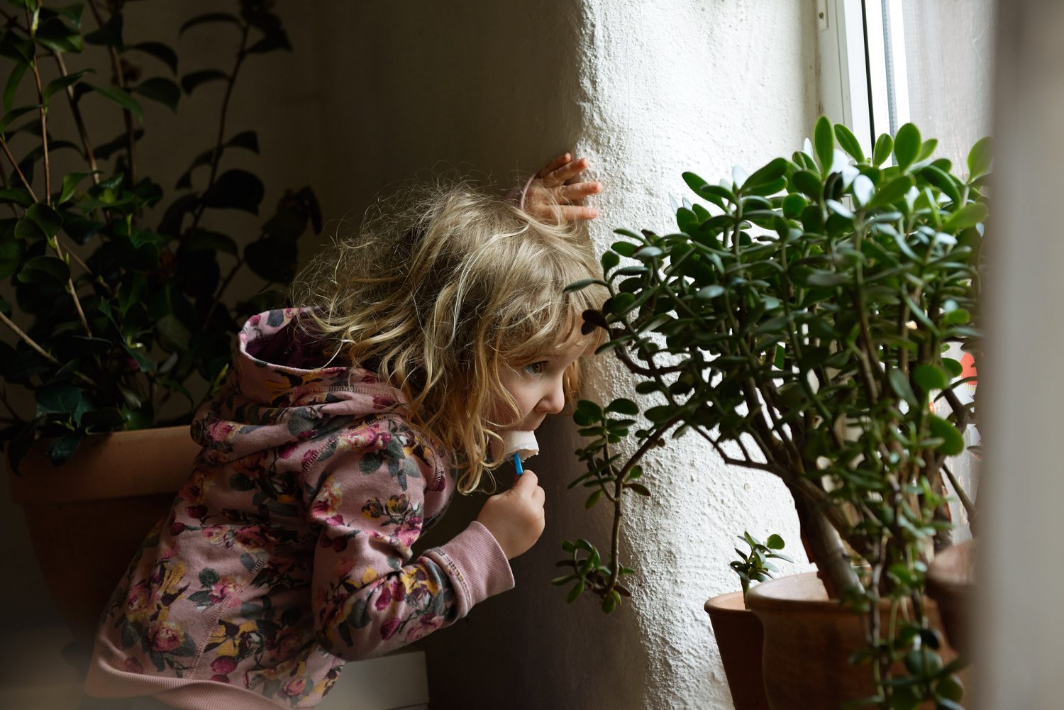 Jan Kopetzky - Close to Kyritz - Portfolio