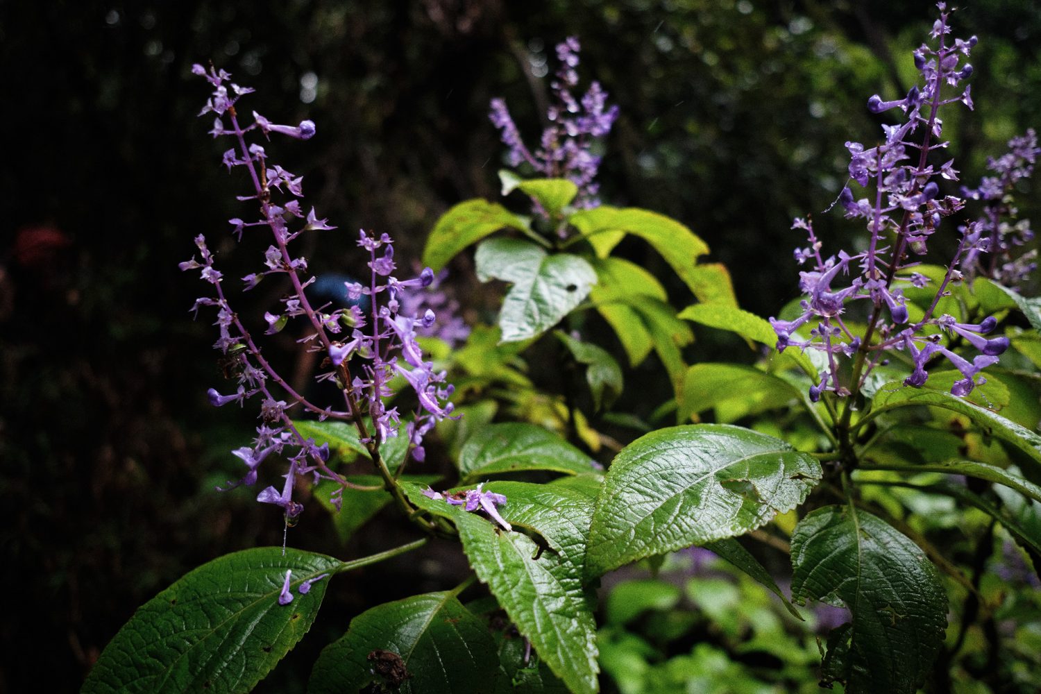 Jan Kopetzky - South Africa’s Toughest Trail - Outdoor