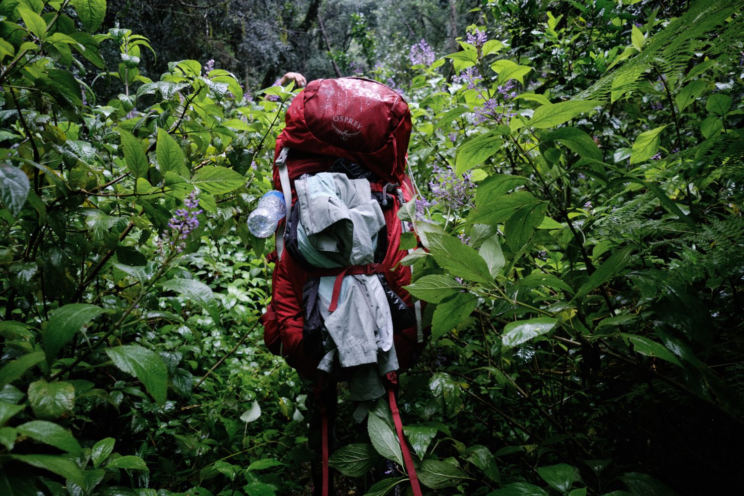 Jan Kopetzky - South Africa’s Toughest Trail - Outdoor