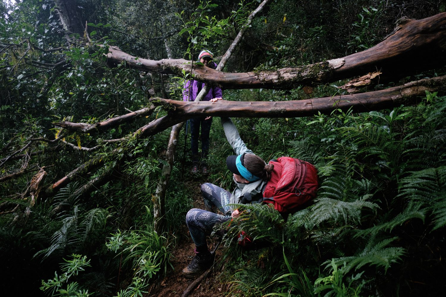 Jan Kopetzky - South Africa’s Toughest Trail - Outdoor