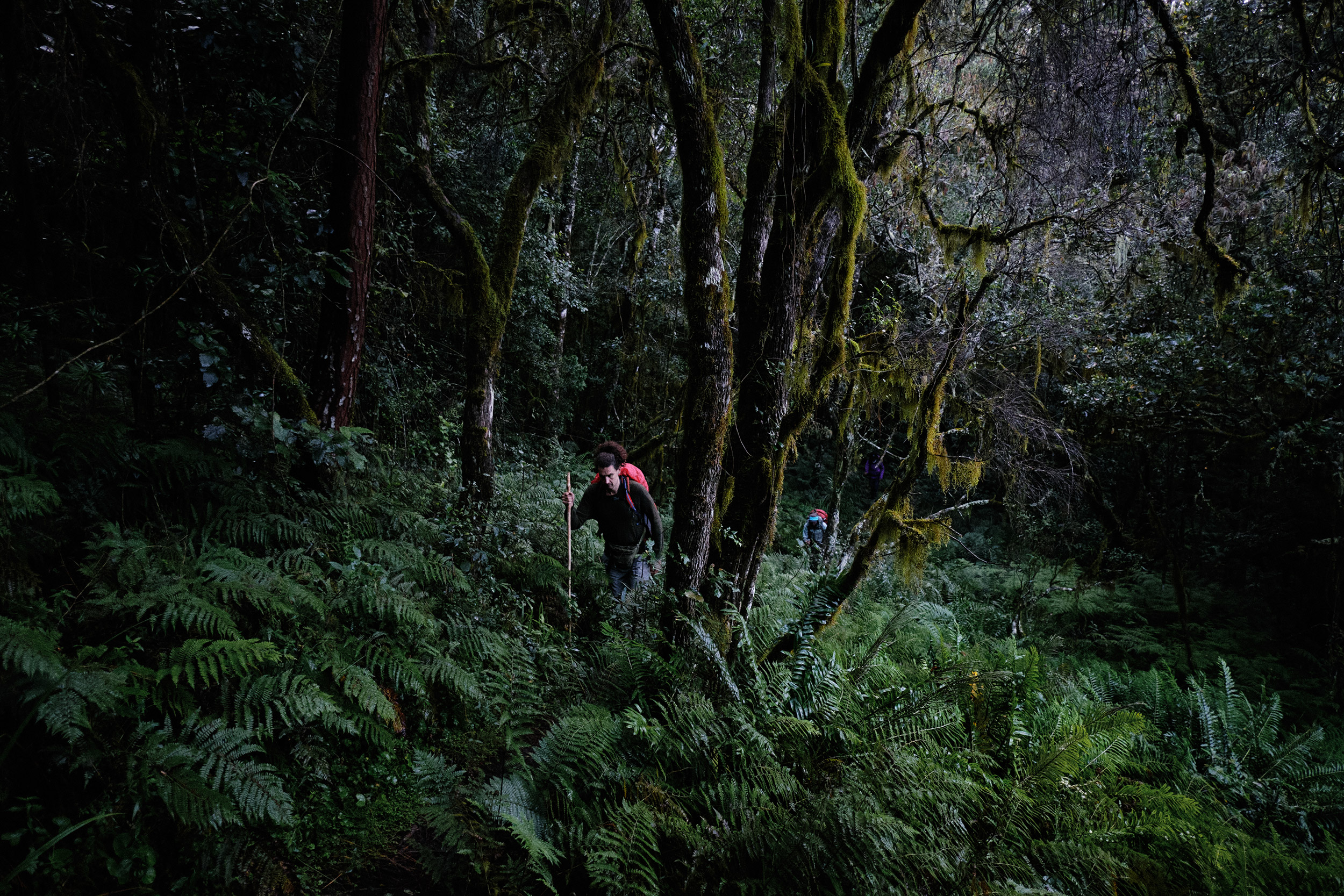 Jan Kopetzky - South Africa’s Toughest Trail - Outdoor