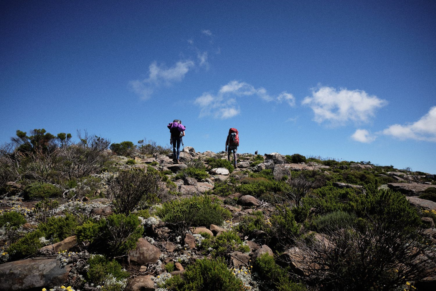 Jan Kopetzky - South Africa’s Toughest Trail - Outdoor