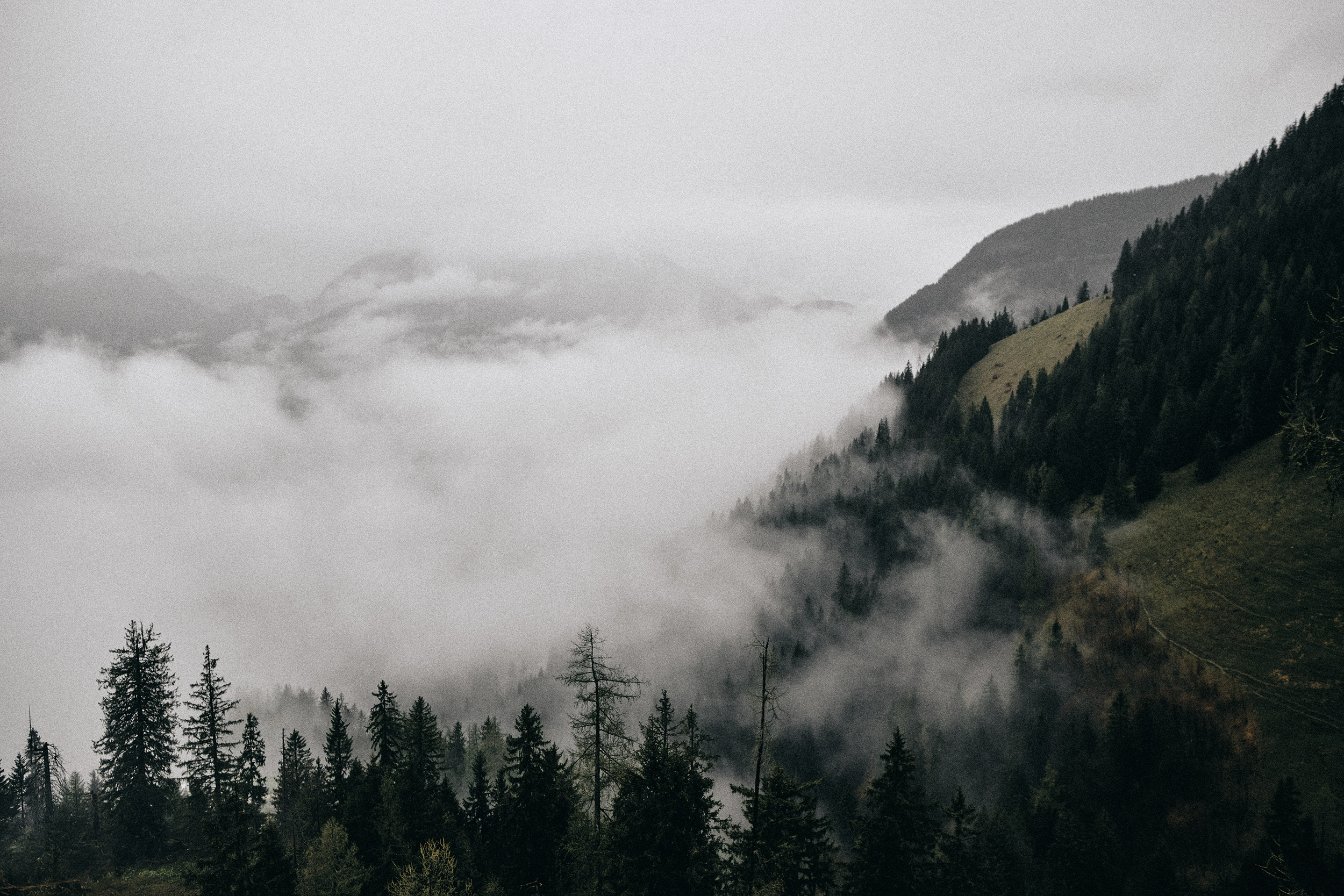 Jan Kopetzky - Misty Morning - Outdoor