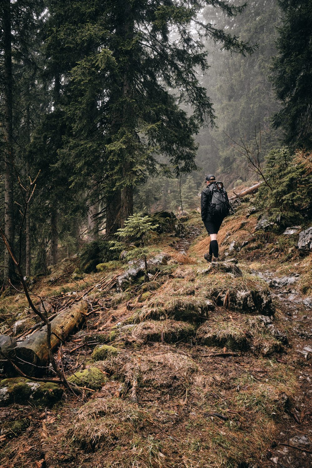 Jan Kopetzky - Misty Morning - Outdoor