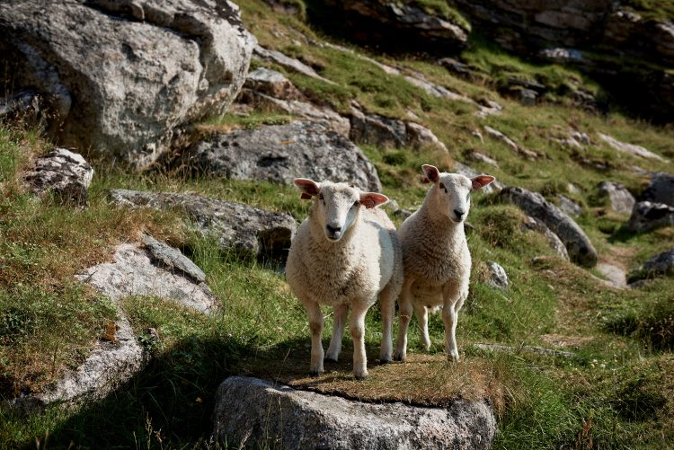 Jan Kopetzky - North of the Polar Circle - Outdoor