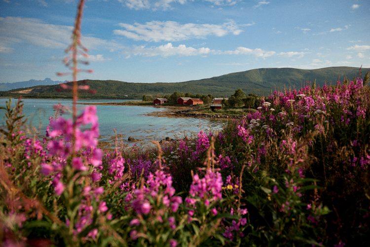 Jan Kopetzky - North of the Polar Circle - Outdoor