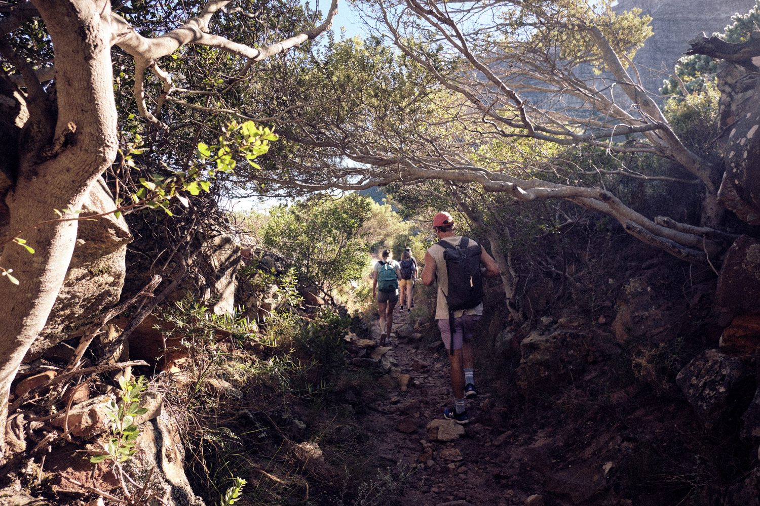 Jan Kopetzky - Skeleton Trail - Outdoor