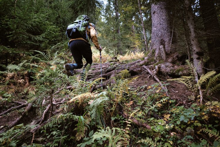 Jan Kopetzky - The Alps - Outdoor