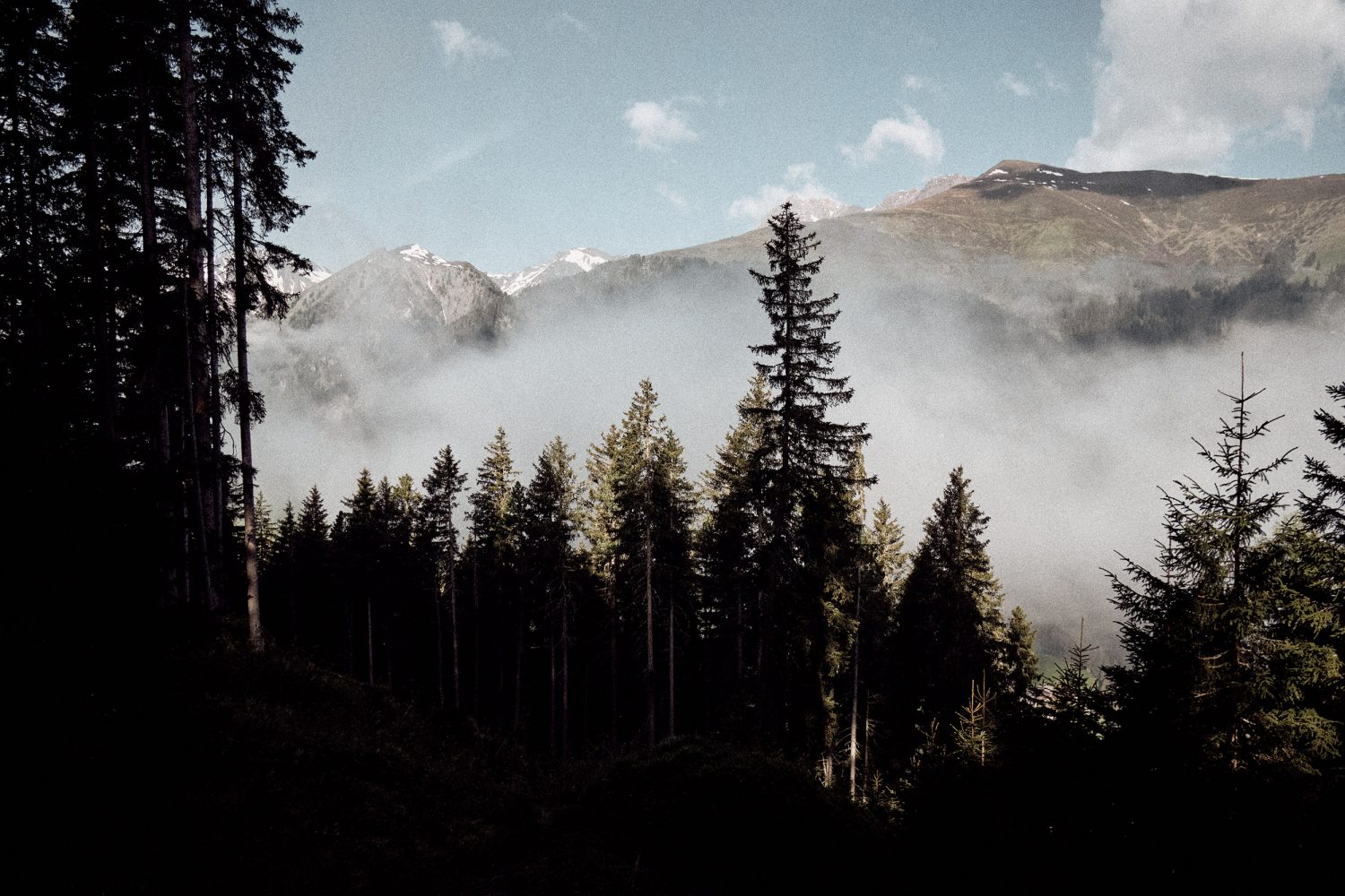 Jan Kopetzky - Last Snow of the Year - Outdoor