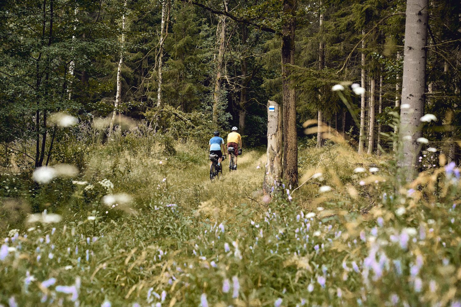 Jan Kopetzky - Gravel Bike Saxonian Switzerland - Outdoor